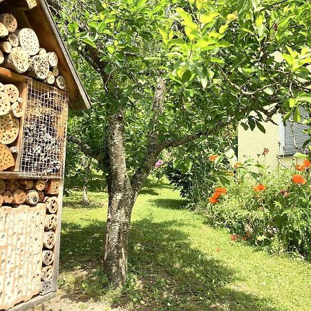 Ferienwohnung Am Hoernle Königsfeld im Schwarzwald المظهر الخارجي الصورة